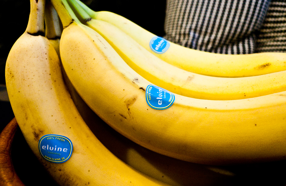 Fresh bananas